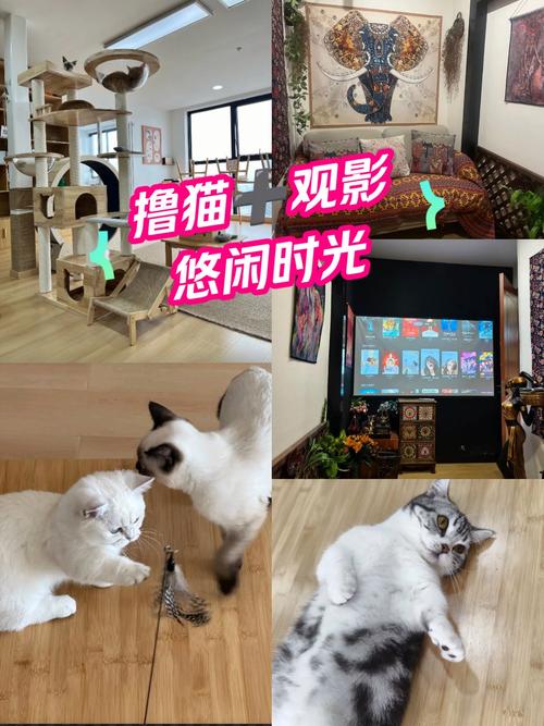 根据8848影院生成SEO标题：8848影院高清在线观看 - 2025最新热播电影免费追剧平台（长尾关键词：免费追剧平台、高清在线观看、最新热播电影）