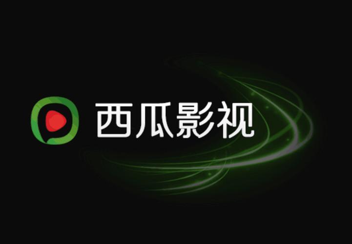 西瓜影院播放器在线观看 - 高清无广告、流畅不卡顿、支持全网资源搜索
