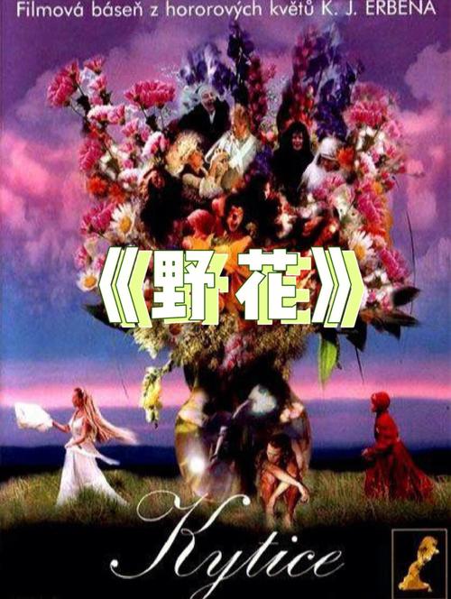 野花影院大全免费观看最新电影,高清无广告追剧神器推荐