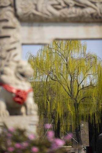 草草浮力影院 - 2025最新高清在线观影指南，免费追剧与热门电影推荐
