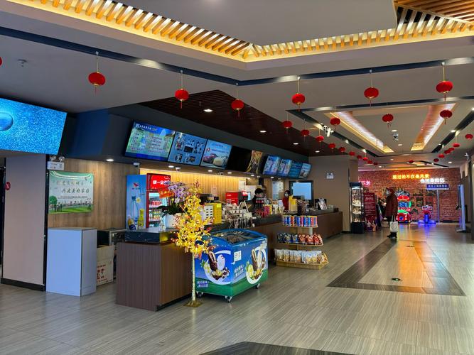 嘉定电影院 | 嘉定区最新排片查询、IMAX厅观影体验、附近热门影院推荐