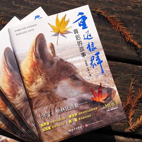 17影院在线观看 - 最新热门电影电视剧免费播放平台，高清无广告