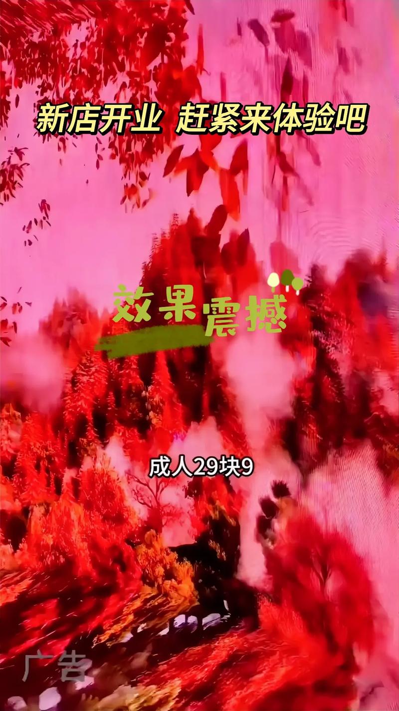 星辰影院在线观看 - 最新高清电影免费追剧，无广告畅享VIP级观影体验
