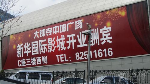 青丝影院高清版在线观看 - 2025最新免费追剧神器，无广告蓝光画质畅享全网热播剧集