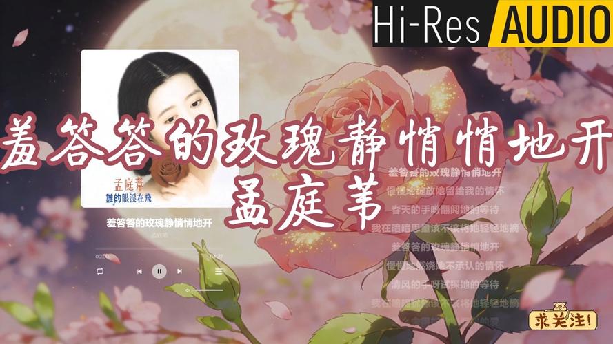 27影院在线观看 - 最新高清电影电视剧免费追剧平台推荐