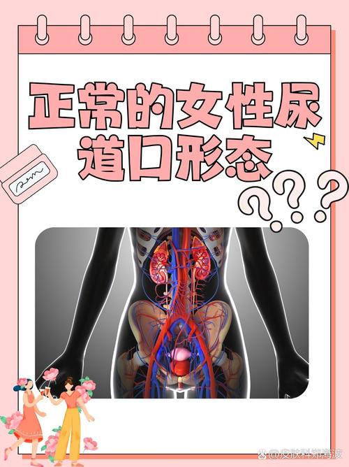欧美日韩人妻 在线观看 | 人妻系列 高清完整版 在线播放
